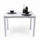 Conjunto de mesa de cocina extensible con 4 sillas PARIS WHITE